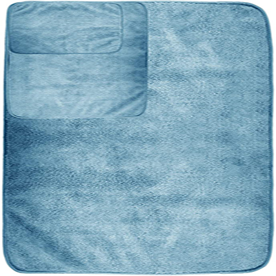 Description of the image